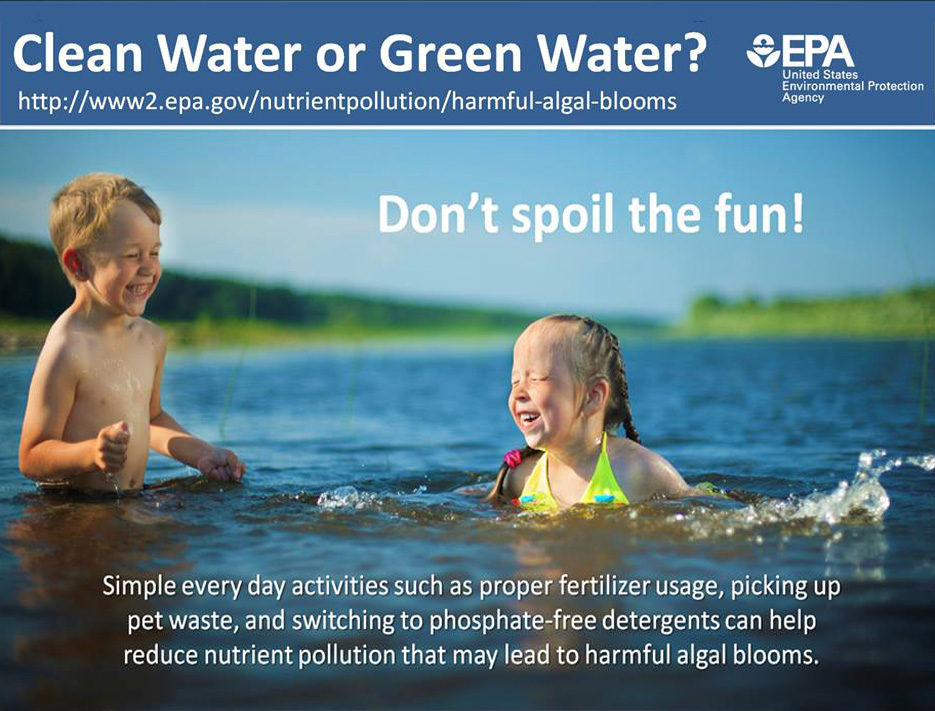 Simple every day activities such as proper fertilizer usage, picking up pet waste, and switching to phosphate-free detergents can help reduce nutrient pollution that may lead to harmful algal blooms. Photo of two children swimming.