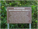 Ecosystem Restoration of Urban Forest