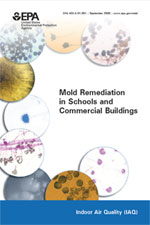 Cover to the Mold Remediation Fact Sheet