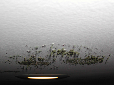 Mold growing on a laundry room ceiling