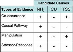 Table 5-6. This chart depicts scores for several types of evidence across a few candidate causes.  Evidence for NH3 is consistently supporting, evidence for CU is consistently weakening and evidence for TSS is inconsistent.