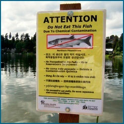 Posted sign advising against eating fish