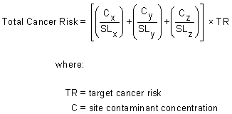 Using RSLs to Sum Risk from Multiple Contaminants - cancer risk estimates - equation