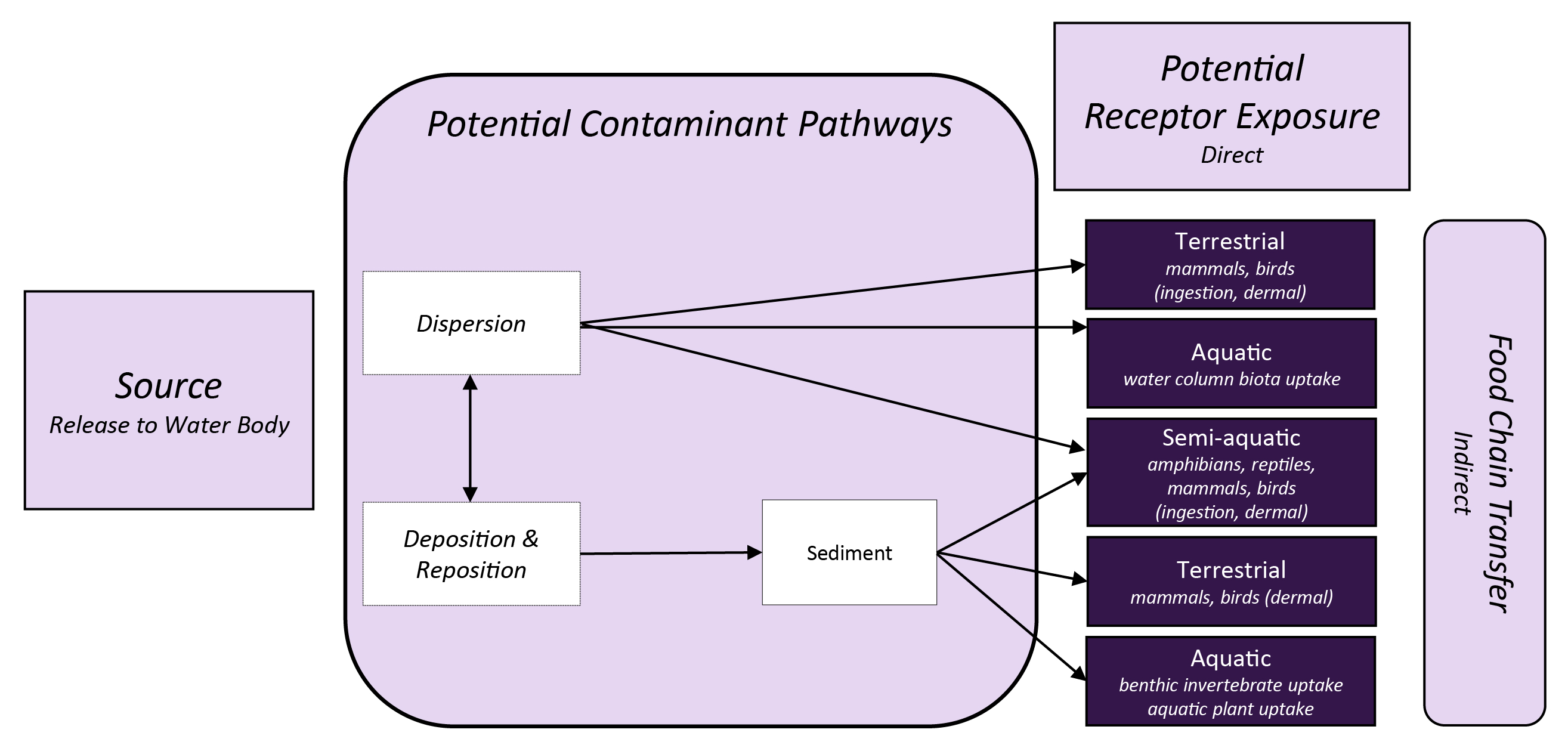 Potential exposure pathways and ecological receptors