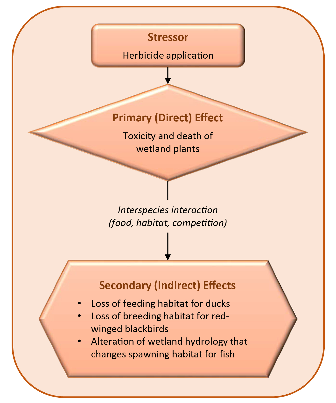   Primary and Secondary Effects