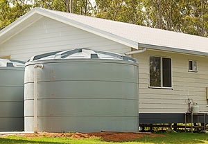 Rain barrel for collecting water