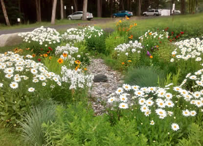 Rain garden at the VA Central Western Massachusetts Healthcare System facility in Leeds, MA (Photo Credit - U.S. Air Force)