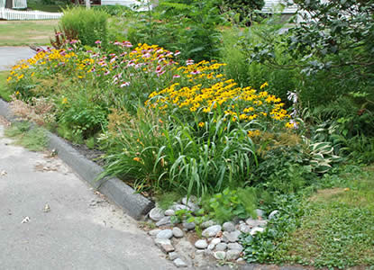 Residential rain garden in Leominster, Massachusetts