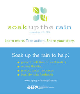 Soak Up the Rain Business Cards (Front & Back)
