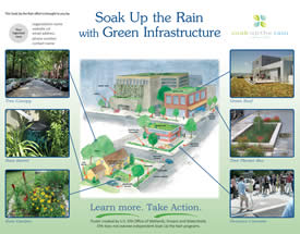 Soak Up the Rain Customizable Green Infrastructure Poster