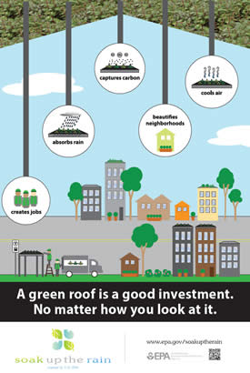 Living Roof Bus Shelter Poster 2016: A Green Roof is a Good Investment