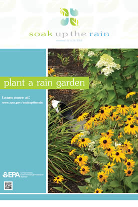 Soak Up the Rain Rain Garden Poster