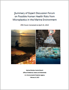 Cover of report "Summary of Expert Discussion Forum on Possible Human Health Risks from Microplastics in the Marine Environment"