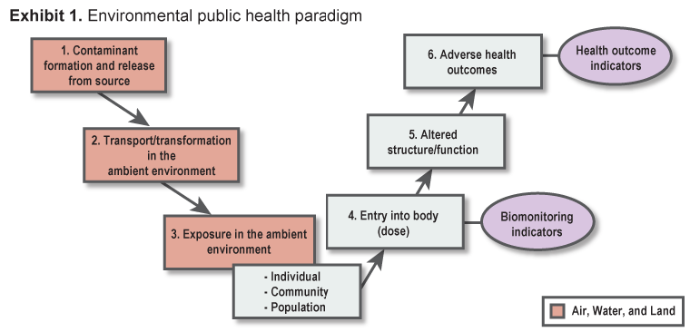 Exhibit 1. This exhibit shows the series of events that provide the conceptual basis for understanding and evaluating environmental health. For adverse health effects such as clinical disease or death to occur, a contaminant must first be released from it