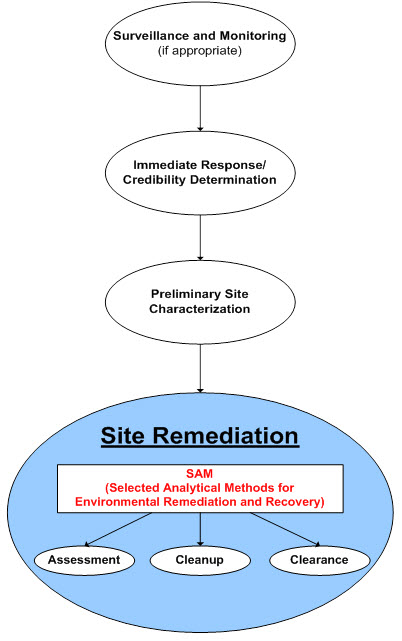 First oval: Servelliance and monitoring.  Second oval: Immediate response/credibility determination.  Third oval: Preliminary site characterization.  Fourth oval: Site remediation, SAM assessment, cleanup, clearance.