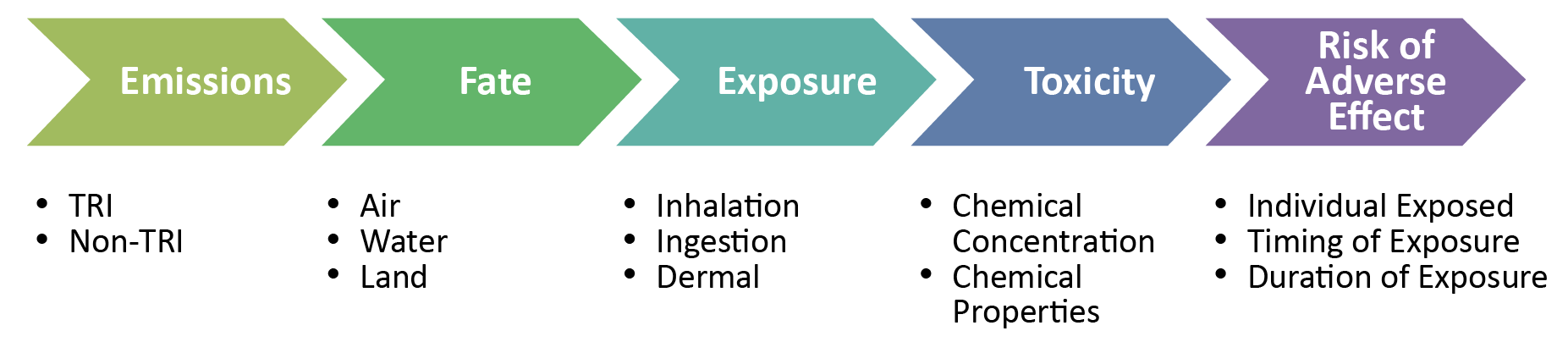 Overview of factors that influence risk (emissions, fate, exposure, toxicity, and risk of adverse effect)