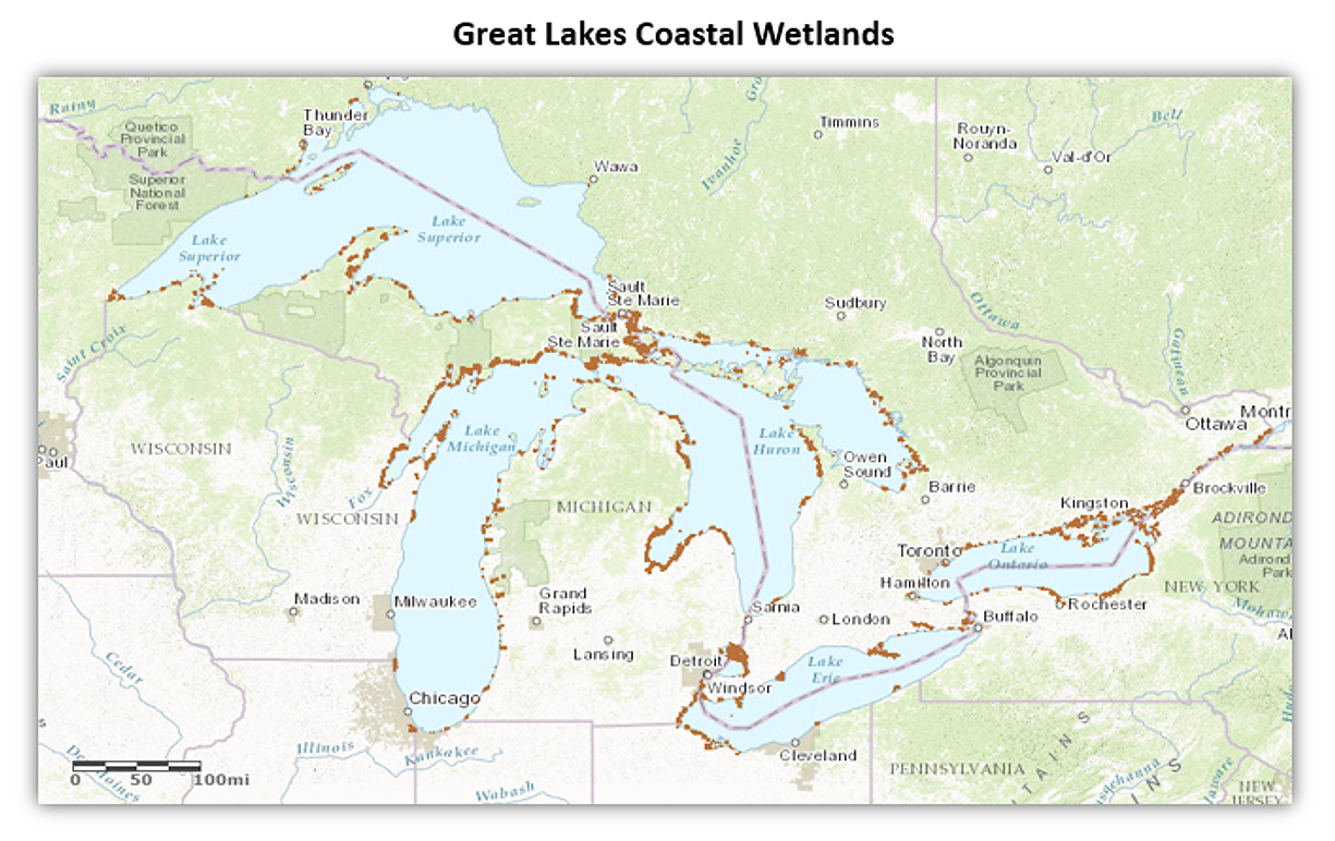 Map of the Great Lakes Coastal Wetlands