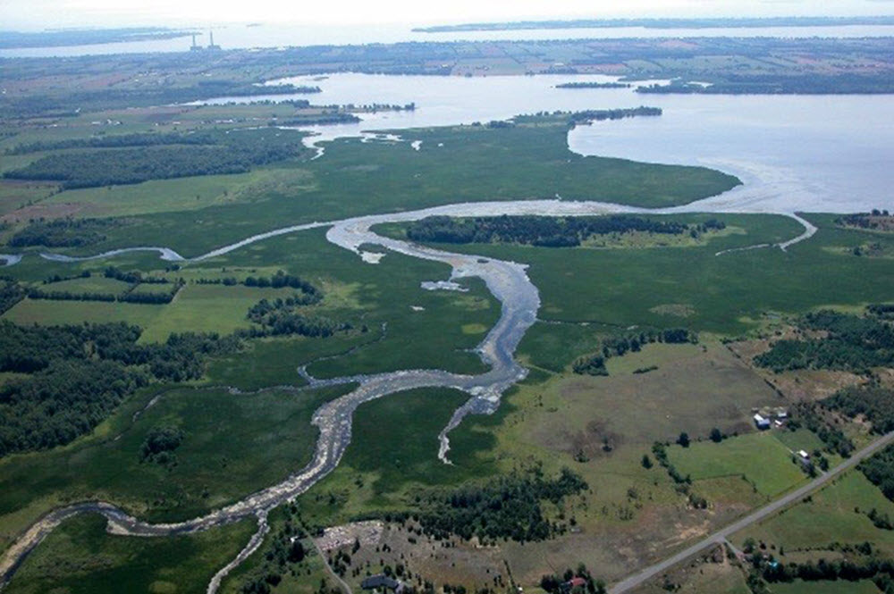 riverine Great Lakes coastal wetland.