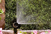 Sprinkler with pressure regulation.