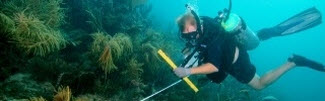 EPA researcher measuring reef health
