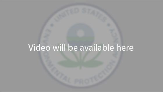 video will appear here