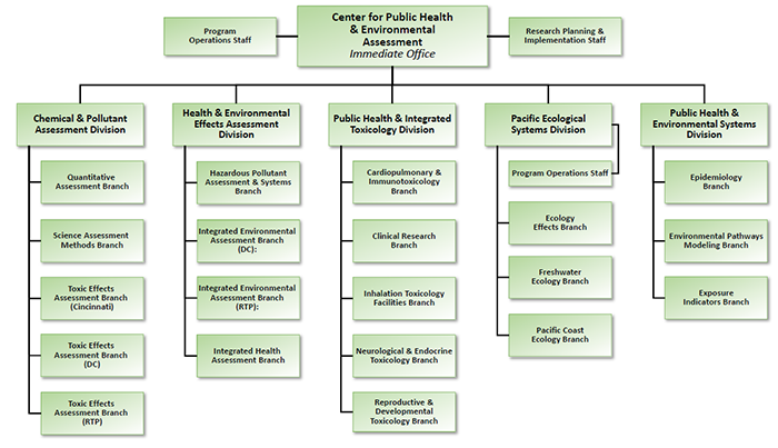 Organization chart showing divisions and branches within EPA’s Center for Public Health & Environmental Assessment