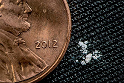 A lethal dose of fentanyl next to a US penny