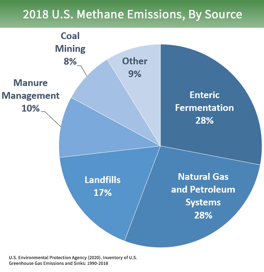 Greenhouse Gas - an overview