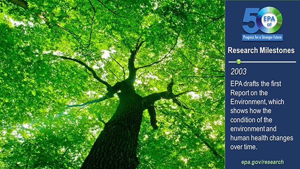 2003-EPA drafts the first Report on the Environment, which shows how the condition of the environment and human health changes over time. View of a tree and its leaves from below.