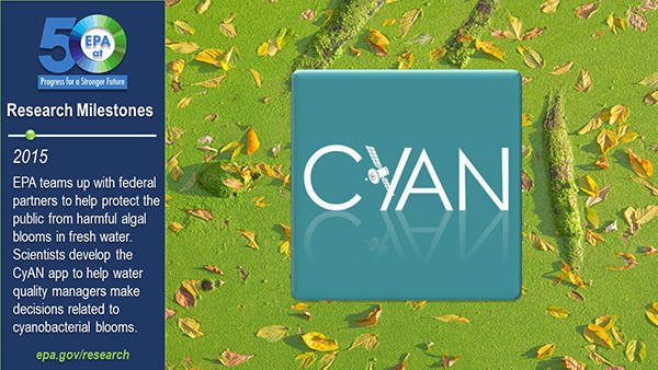 2015-EPA teams up with federal partners to help protect the public from harmful algal blooms in fresh water. Scientists develop the CyAN app to help water quality managers make decisions related to cyanobacterial blooms.