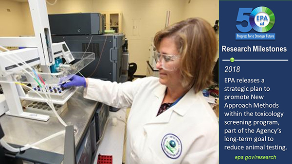 2018-EPA releases a strategic plan to promote New Approach Methods within the toxicology screening program, part of the agency’s long-term goal to reduce animal testing. EPA scientist, Dr. Jody Shoemaker, conducting research at EPA research center.