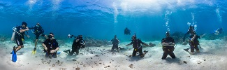 Divers swimming over corals in the Caribbean. Photo credit: The Ocean Agency. 