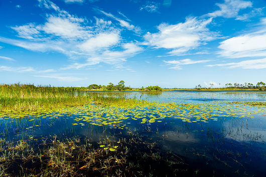 Florida nature preserve