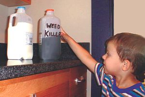 child reaching for weed killer in milk carton