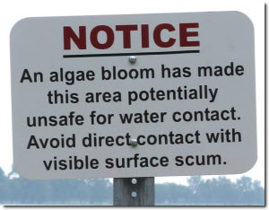  Notice - An algae bloom has made this area potentially unsafe for water contact. Avoid direct contact with visible surface scum.