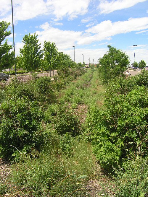 Trees and Garden area from Stapleton neighborhood in Denver, Co.  