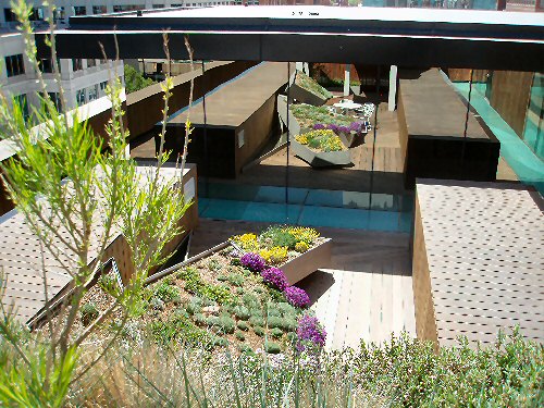 Denver Museum of Contemporary Art has a green roof art exhibit.