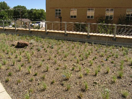 Area on top of Biodiversity Conservation Center creates a classroom on the room for children and students to learn about green roofs.