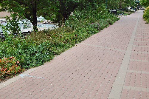 Pathway along the South Platte River.