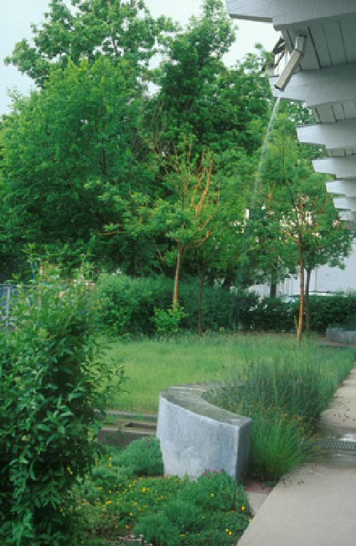 Storm water runoff from a roof downspout in Denver, CO.