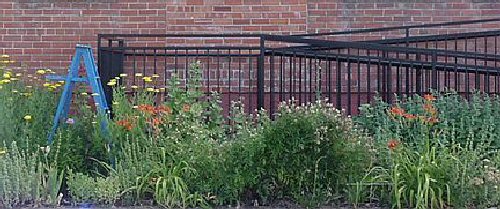 rain gardens surround Antiques Central building in Cheyenne, Wyoming