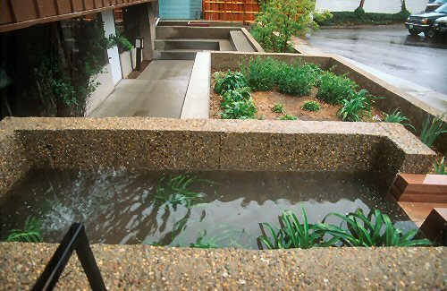 Cement planter box collects rainwater in Boulder, CO.