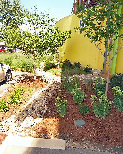 Bedrock, plants and sod used to filter water.