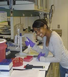 Intern working in a lab