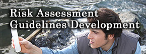 Risk Assessment Guidelines Development