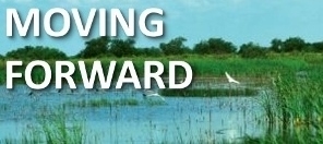 Moving Forward Restored Wetland Iowa Image