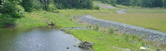 A photograph of a drainage pond surrounded by grasses. Next to the pond is a gravel road leading to a building.