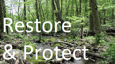 NPS Restore and Protect