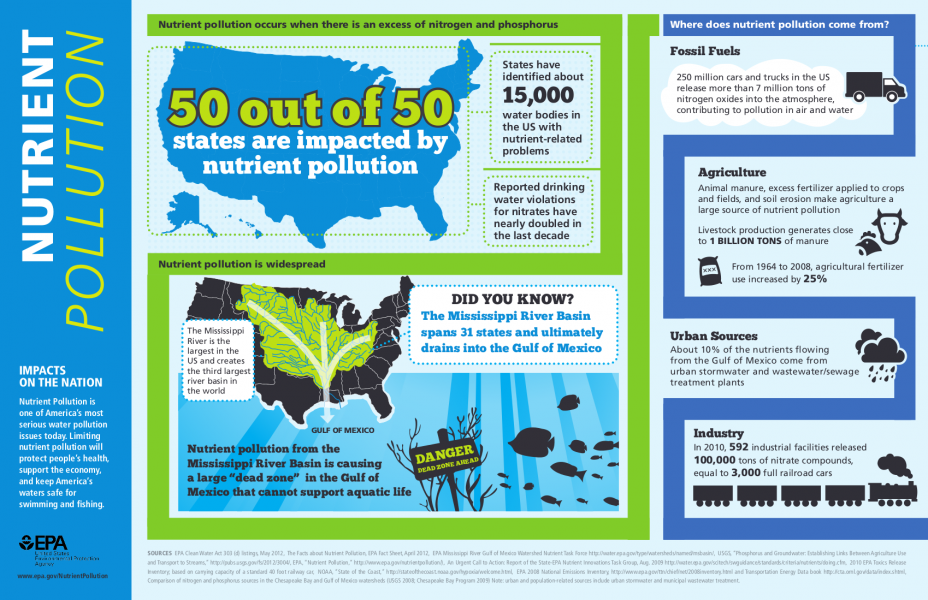 Infographic explaining what is nutrient pollution. Click to enlarge.