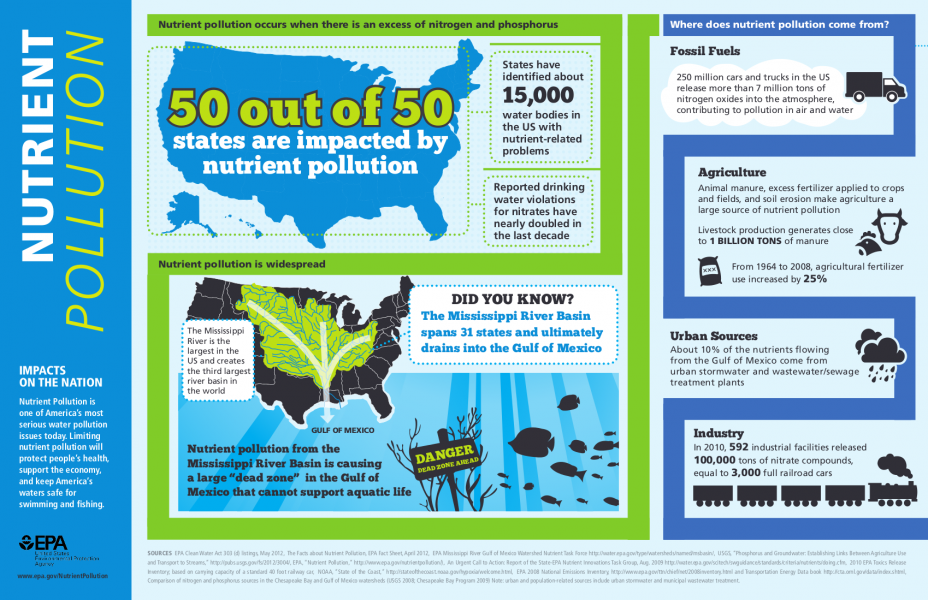 Infographic explaining nutrient pollution, its extent and sources. See below for a link to the text version.